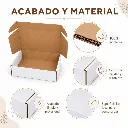 23x18x7 WT4.webp